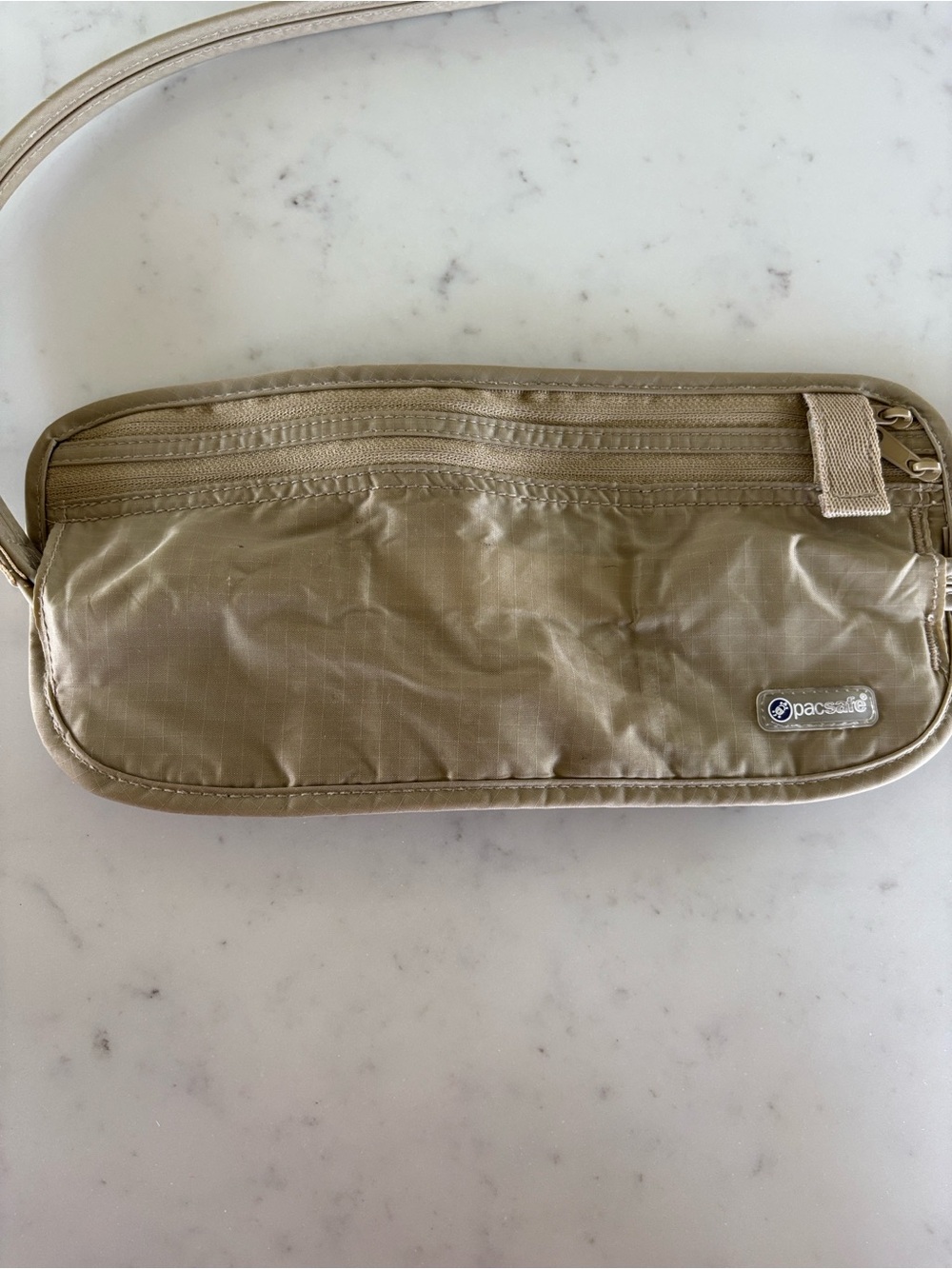 Pacsafe Travel Waist Wallet